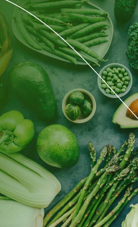 alimentacion ecologica en logrono Alimentación ecológica en Logroño