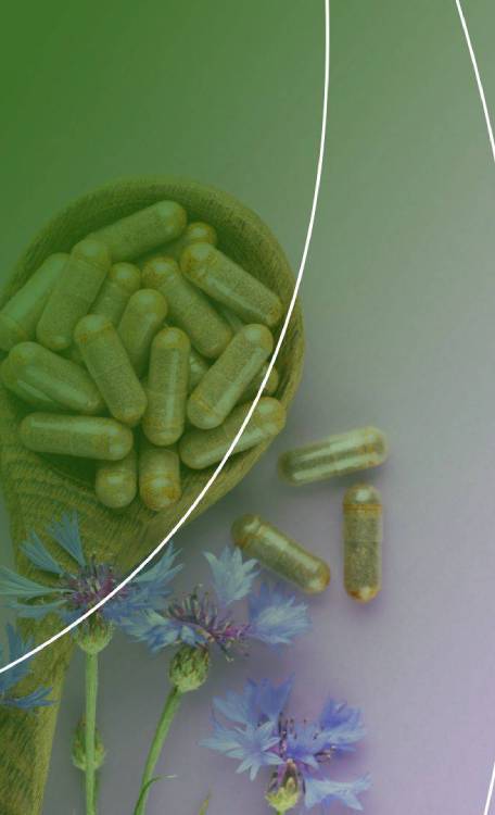 Complementos dietéticos en Logroño