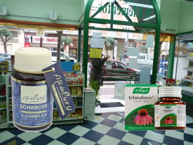 Equinácea Los 5 Elementos